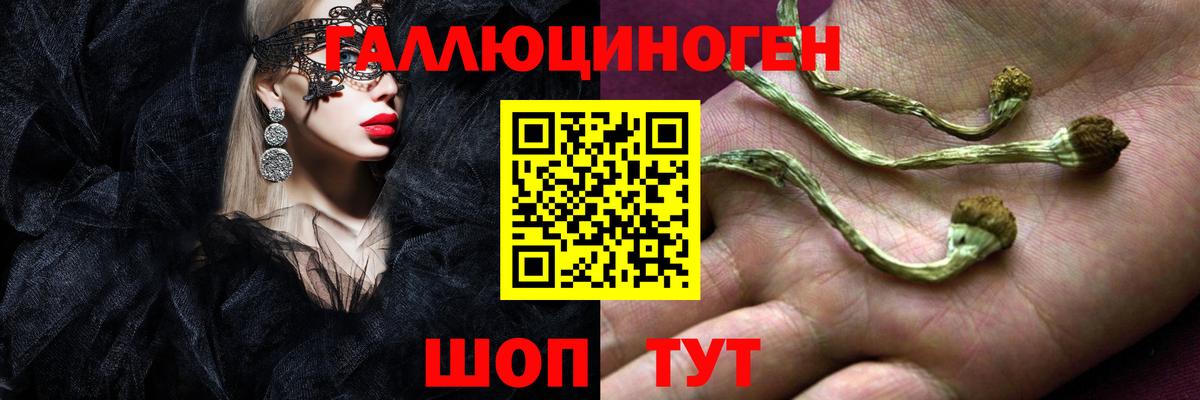 Галлюциногенные грибы прущие грибы Курганинск