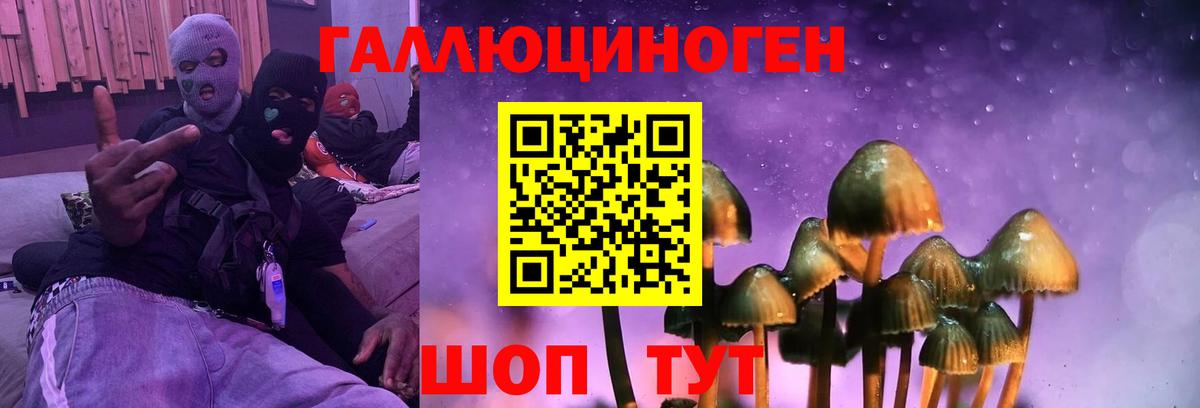 Псилоцибиновые грибы мухоморы  Псилоцибиновые грибы прущие грибы  Курганинск  Вход с VPN 